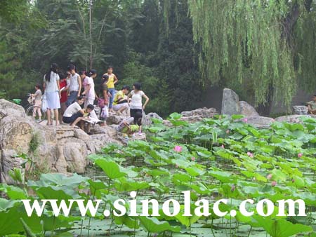 ��������Ҽ��100 ����������ѵ���� С��С���ѧ 2006���廪��Ժ¼ȡ��40% �廪��ѧ����ѧԺ��ԭ���빤������ѧԺ���߿�������ѵ���� ����ɫ��ˮ�� ��д ��� ���� �߿�¼ȡ ��������ѧԺ ����ʦ����ѧ ������ӰѧԺ �й�Ϸ��ѧԺ רҵ�����ϸ�¼ȡ 2009�� 2007�� �������� ����������ѵ 